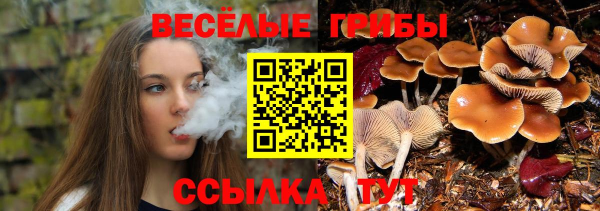Кунгур  купить наркотики цена  Вход с VPN  Галлюциногенные грибы GOLDEN TEACHER 