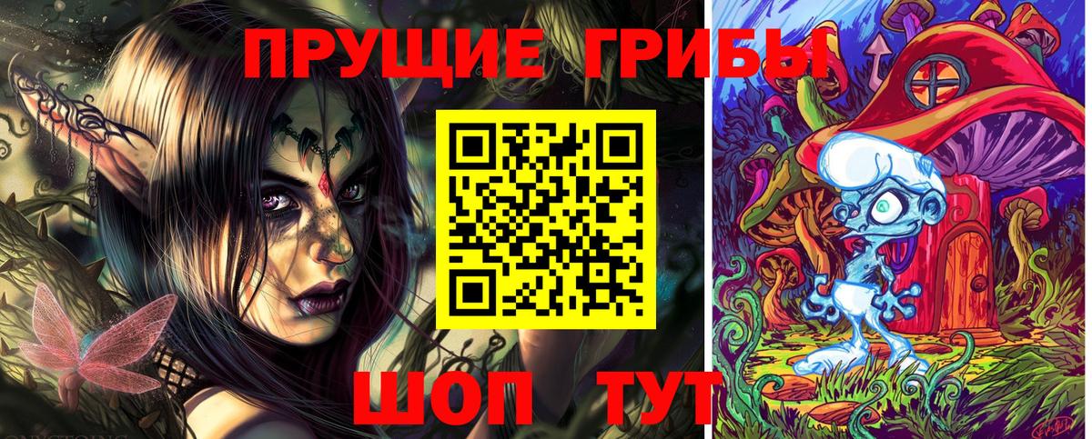 Псилоцибиновые грибы Psilocybe Кунгур